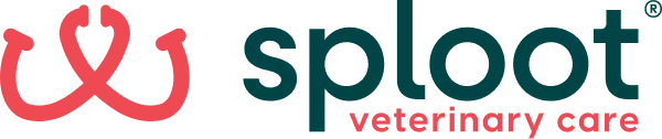 Sploot Veterinary Care