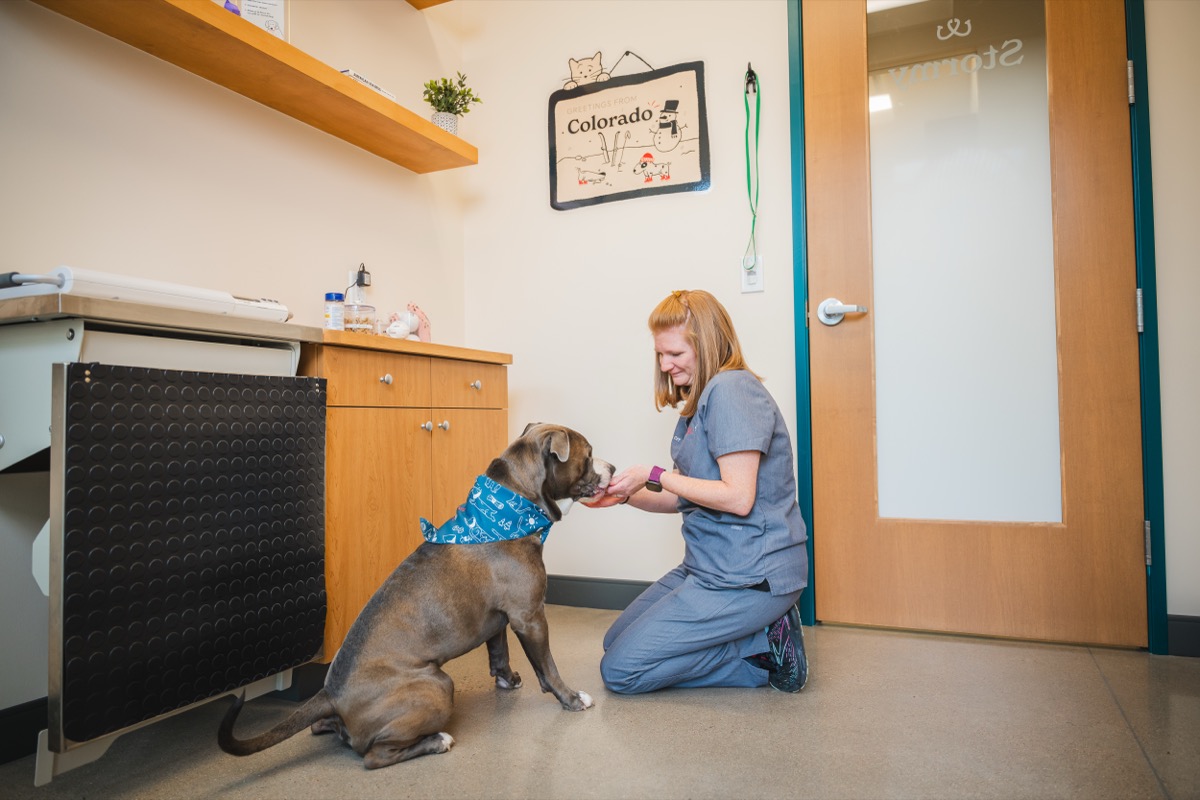 Sploot 9+CO clinic