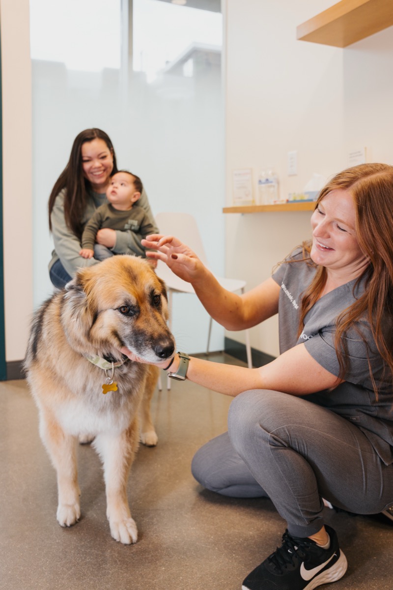 Sploot Commons Park clinic