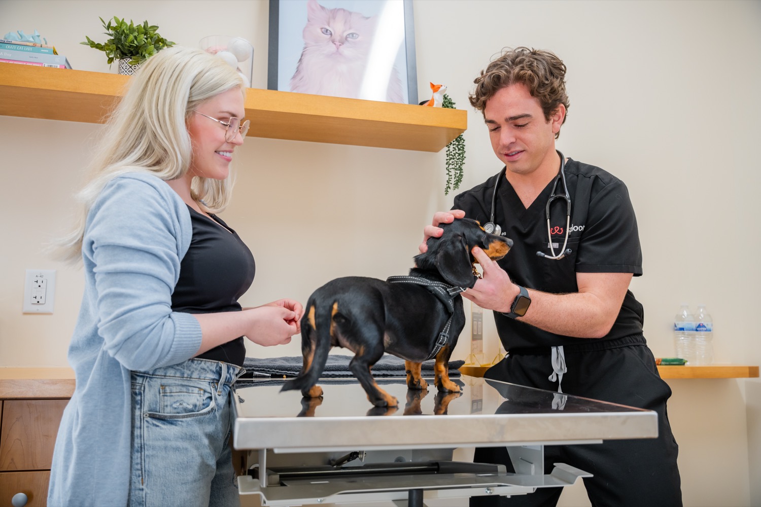 A Sploot veterinarian gently holding a dog's face during an exam while its owner looks on