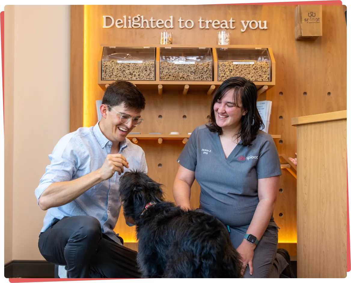 Sploot Veterinary Care team with a happy dog and pet parents
